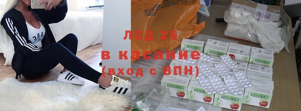 спиды Верея