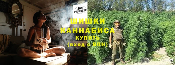 mdpv Тавда