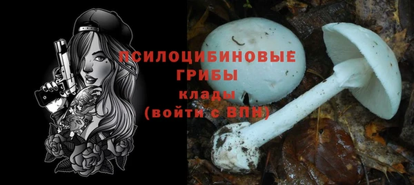 mdpv Тавда