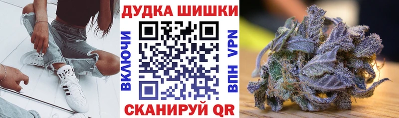 Марихуана семена  Новозыбков 